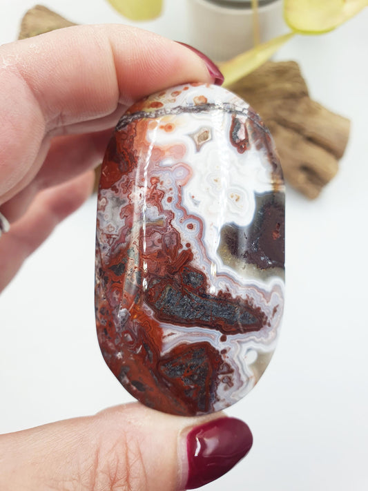 Beautiful Mexican Agate Palm / Crazy Lace Agate Palm Stone / Agate Palm / Meditation Palm / Reiki Crystal- 105g