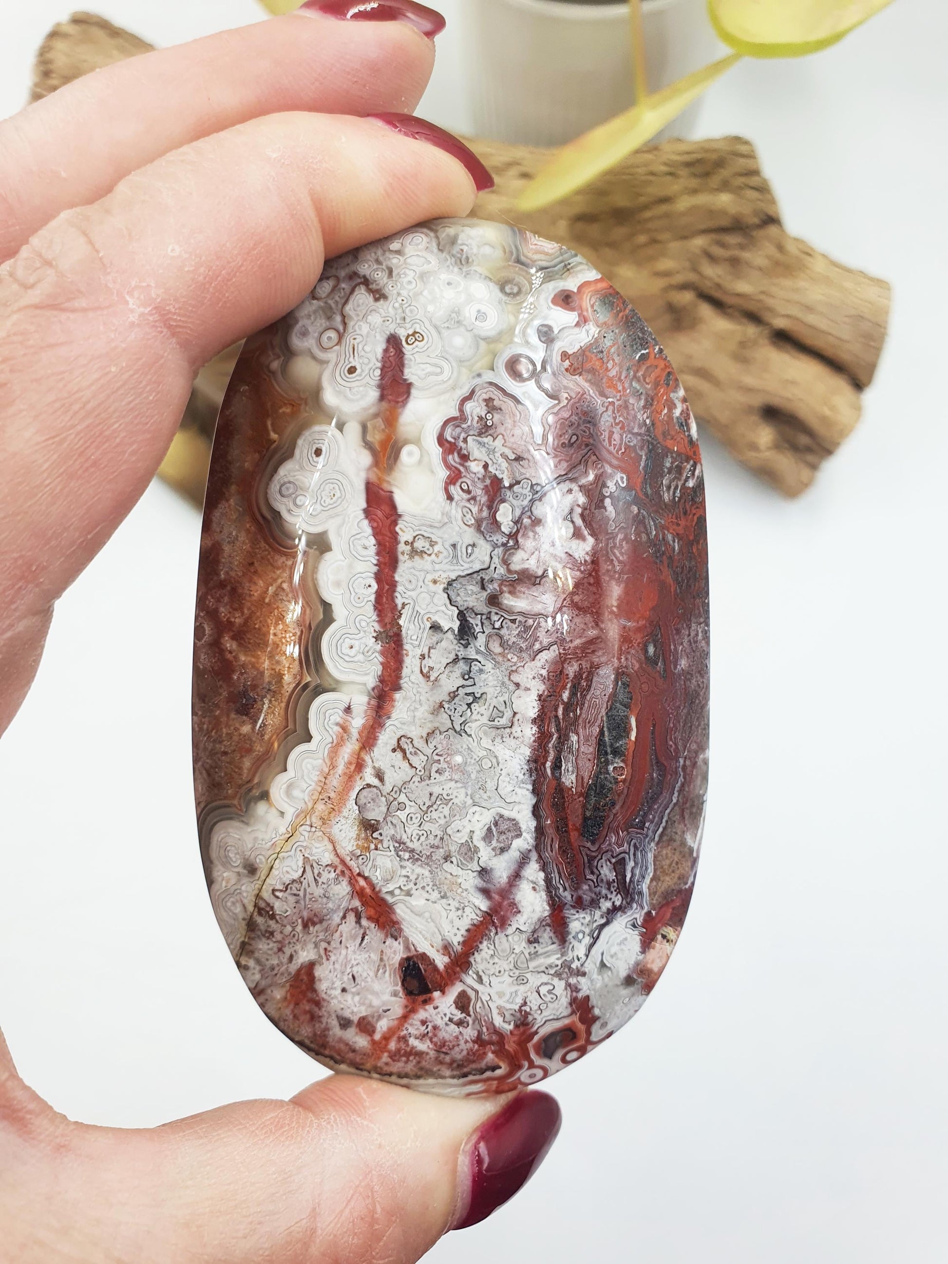 Large Beautiful Mexican Agate Palm / Crazy Lace Agate Palm Stone / Agate Palm / Meditation Palm - 196g
