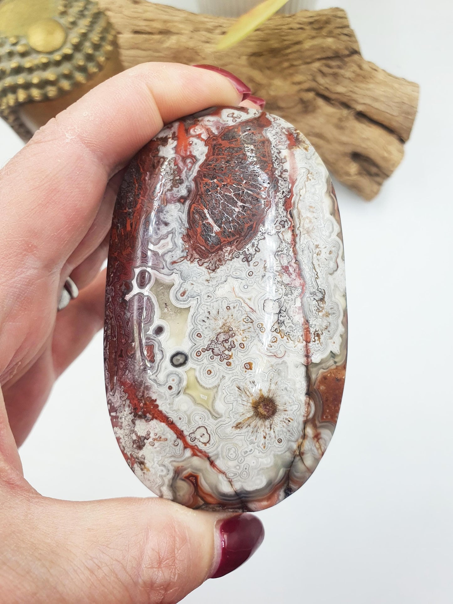 Large Beautiful Mexican Agate Palm / Crazy Lace Agate Palm Stone / Agate Palm / Meditation Palm - 196g