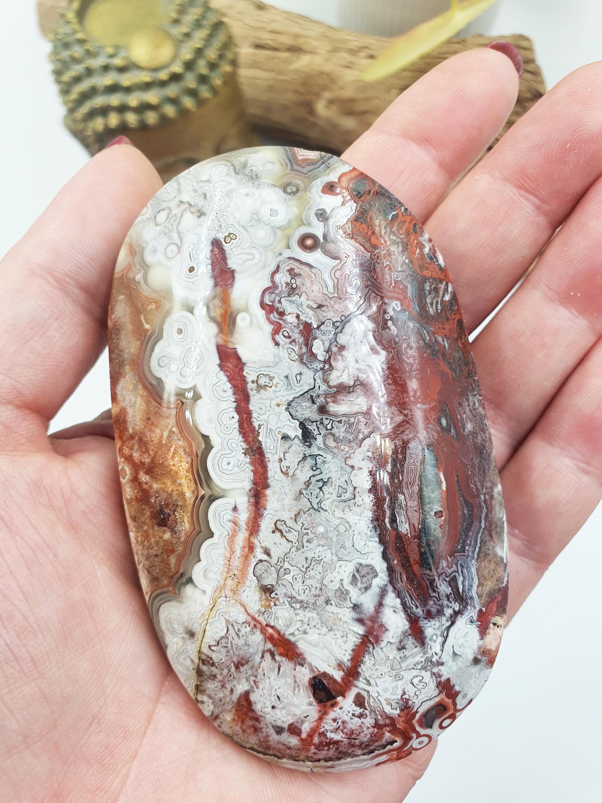Large Beautiful Mexican Agate Palm / Crazy Lace Agate Palm Stone / Agate Palm / Meditation Palm - 196g