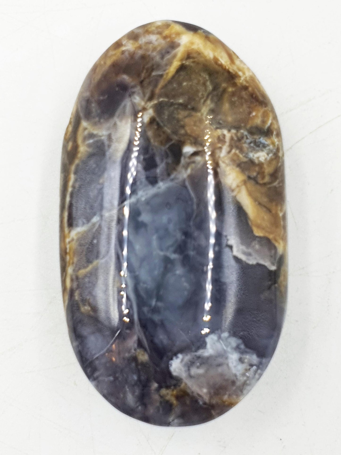 Beautiful Petrified Wood Palm / Petrified Wood Palm Stone / Meditation Palm / Reiki Crystal Palm - 95g