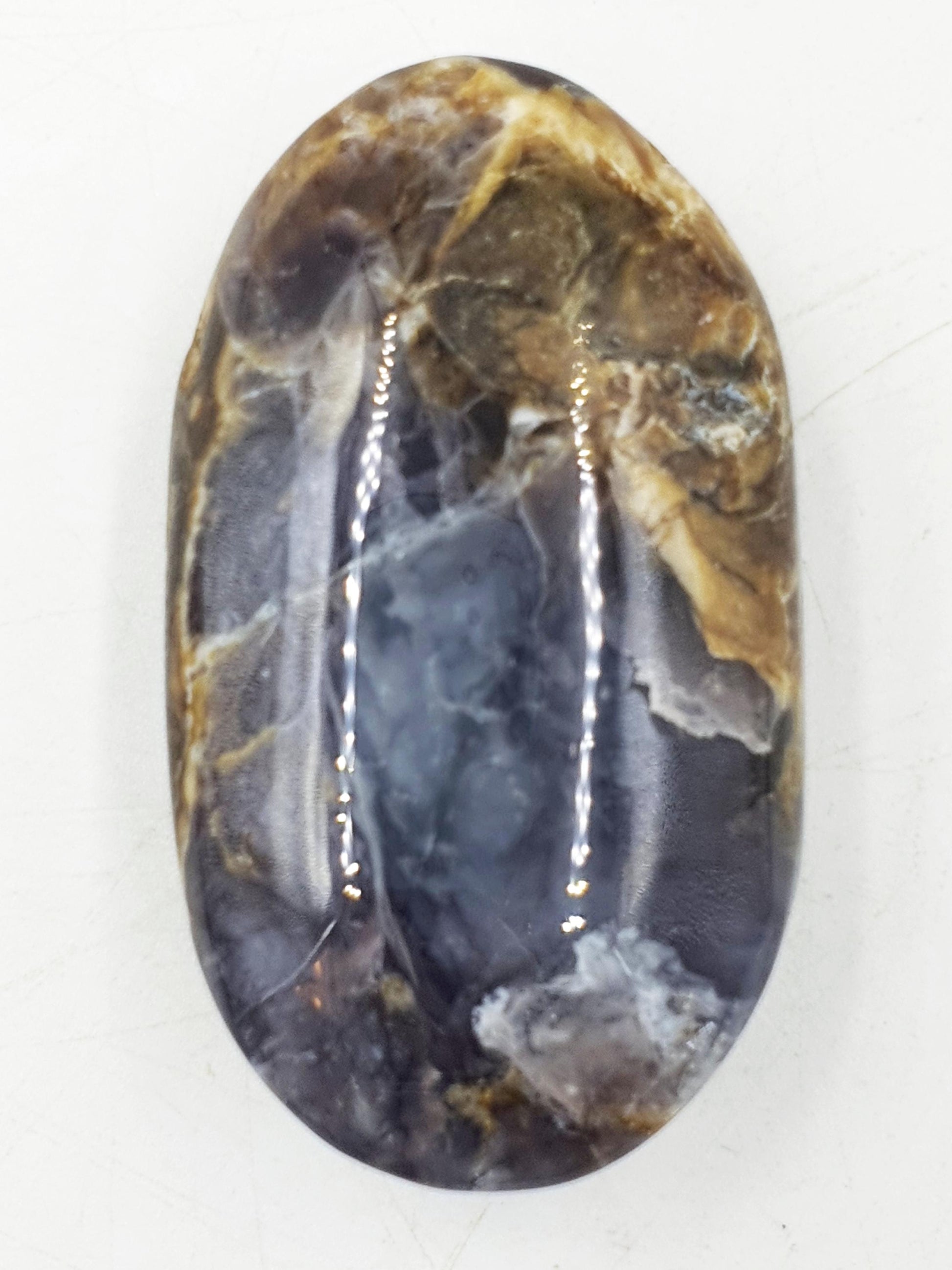 Beautiful Petrified Wood Palm / Petrified Wood Palm Stone / Meditation Palm / Reiki Crystal Palm - 95g