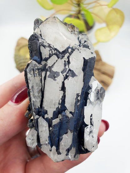 Beautiful Clear Quartz and Hematite Cluster / Raw Clear Quartz Cluster / Hematite Cluster / Rough Crystal Cluster / Crystal Specimen - 215g