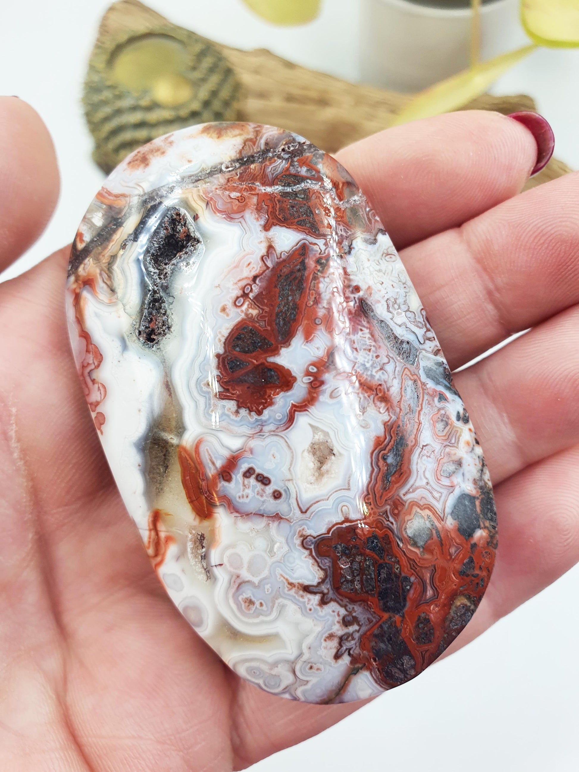 Beautiful Mexican Agate Palm / Crazy Lace Agate Palm Stone / Agate Palm / Meditation Palm / Reiki Crystal- 105g