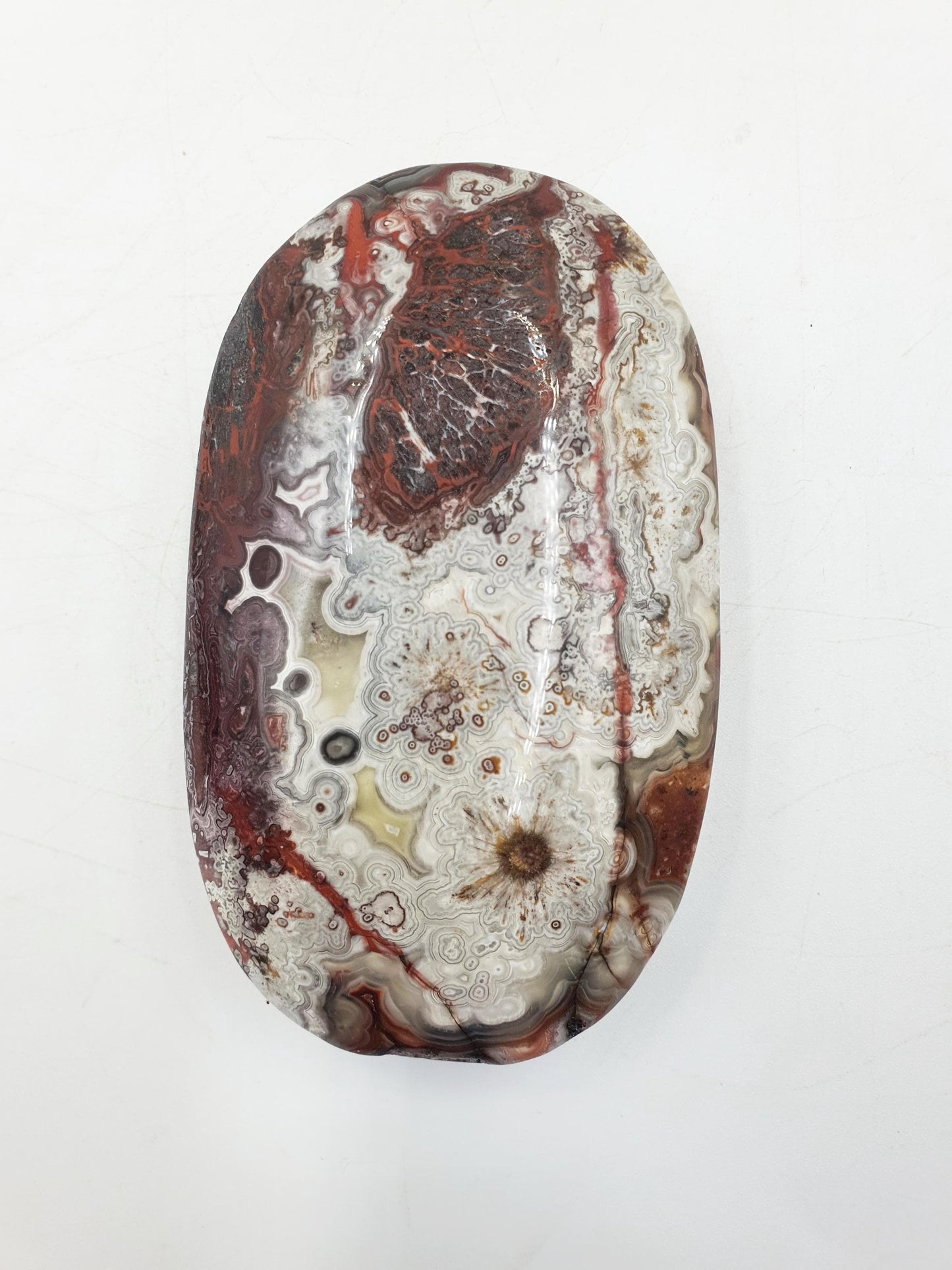 Large Beautiful Mexican Agate Palm / Crazy Lace Agate Palm Stone / Agate Palm / Meditation Palm - 196g