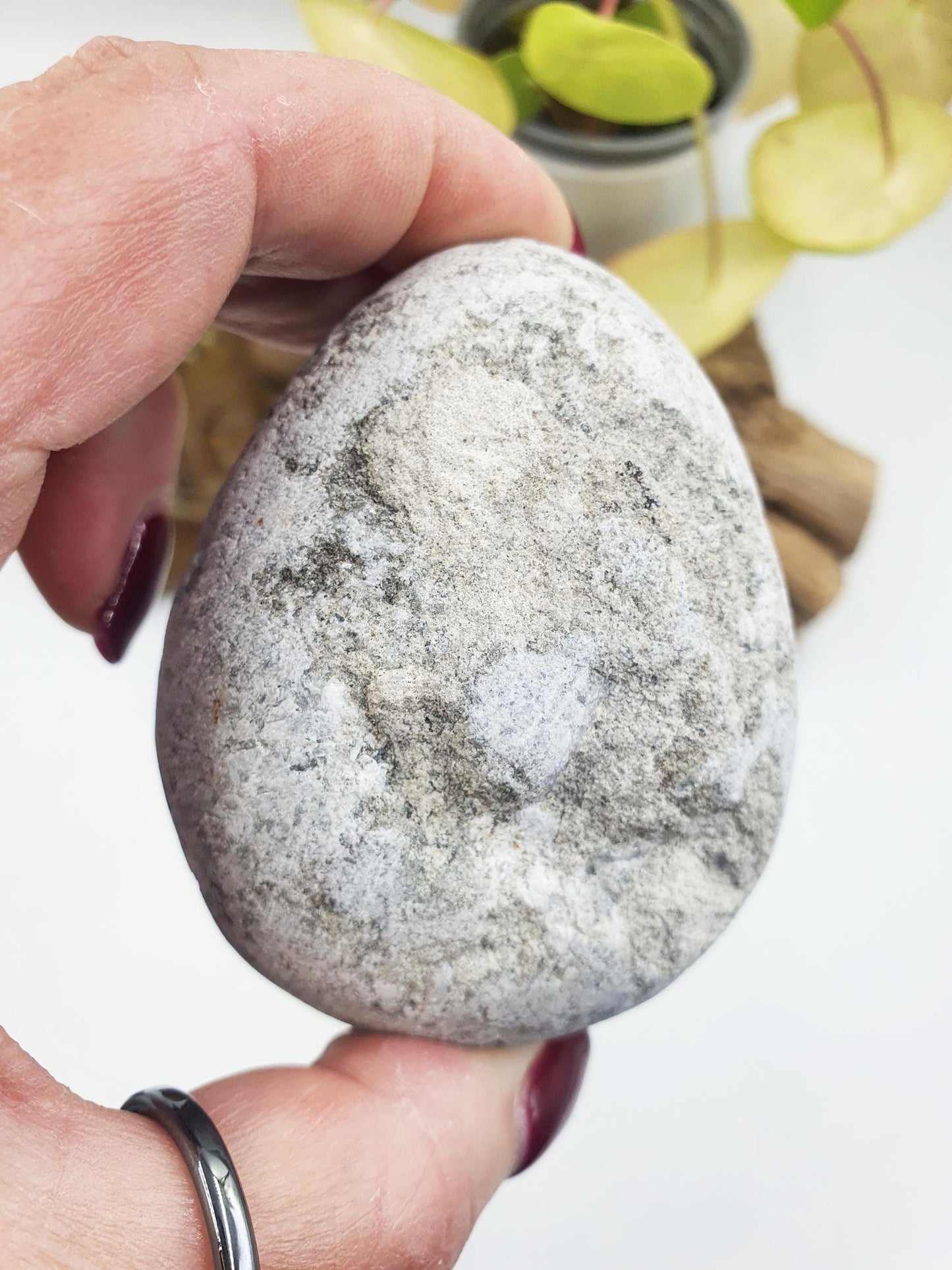 Large Raw Celestite / Raw spherical Celestite / Celestite Geode / Celestite Specimen - 260g