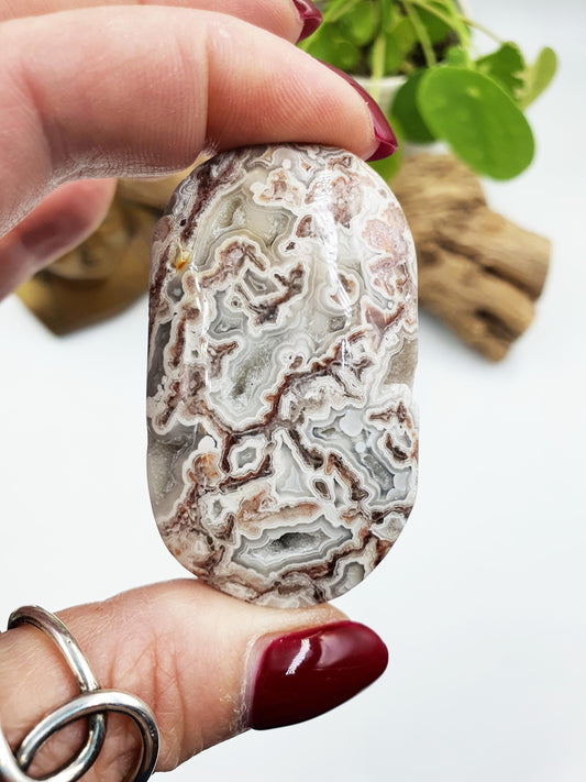 Stunning Mexican Crazy Lace Agate Palm / Crazy Lace Agate Palm Stone / Drusy Agate Palm / Meditation Palm - 50g