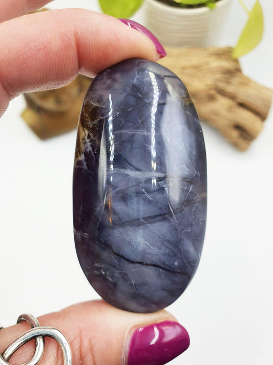 Beautiful Petrified Wood Palm / Petrified Wood Palm Stone / Meditation Palm / Reiki Crystal Palm - 75g