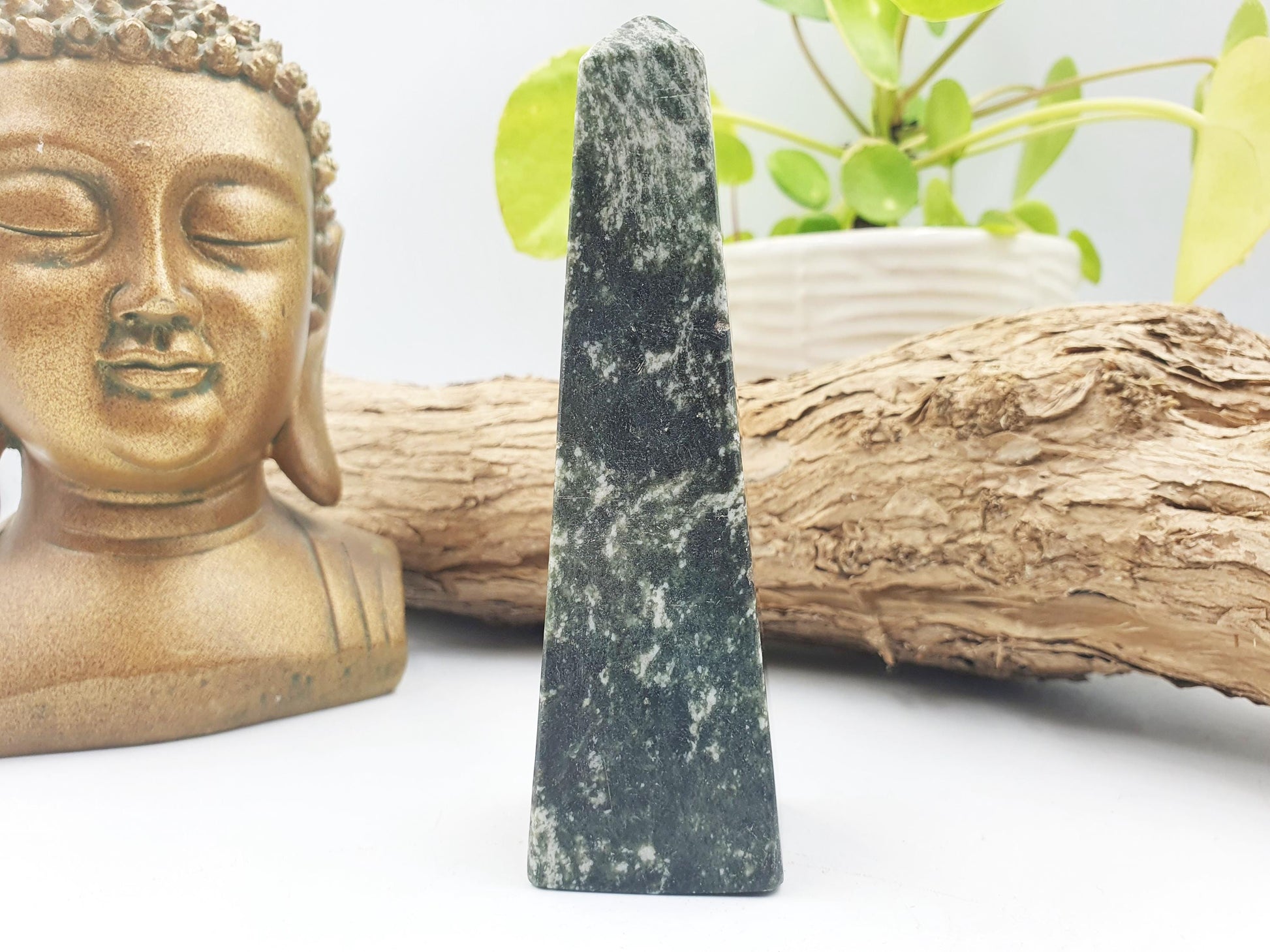 Fuchsite with Ruby Tower / Fuchsite with Ruby Obelisk / Fruchsite and Ruby Point / Healing Tower - 195g