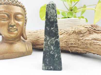 Fuchsite with Ruby Tower / Fuchsite with Ruby Obelisk / Fruchsite and Ruby Point / Healing Tower - 195g