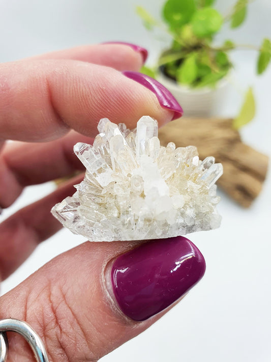 Cute Tiny Chrysanthemum Quartz Cluster / Raw Quartz Cluster / Mini Quartz Cluster - 17g