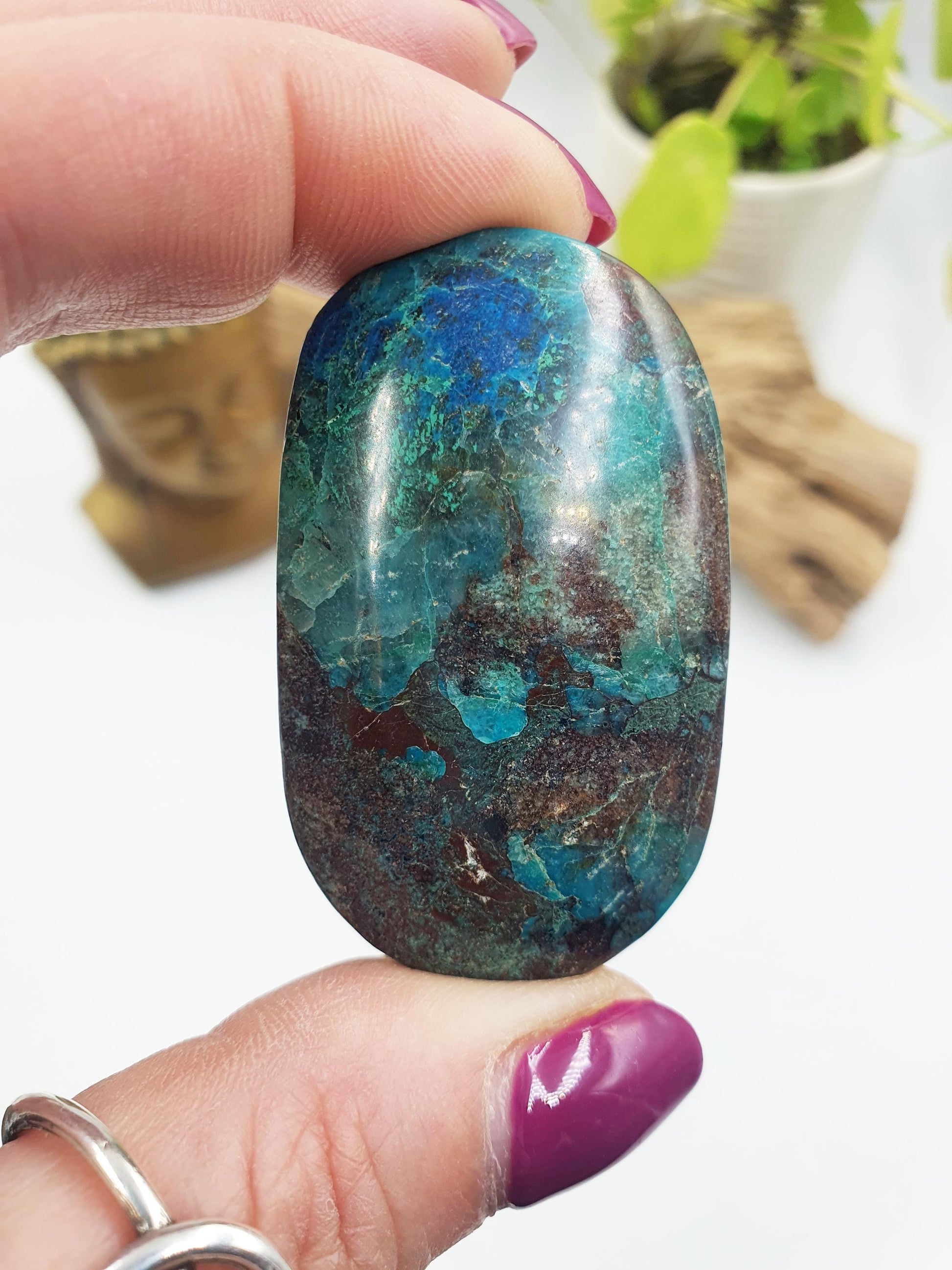 Phoenix Turquoise Palm Stone - Transformation & Protection Crystal - 40g
