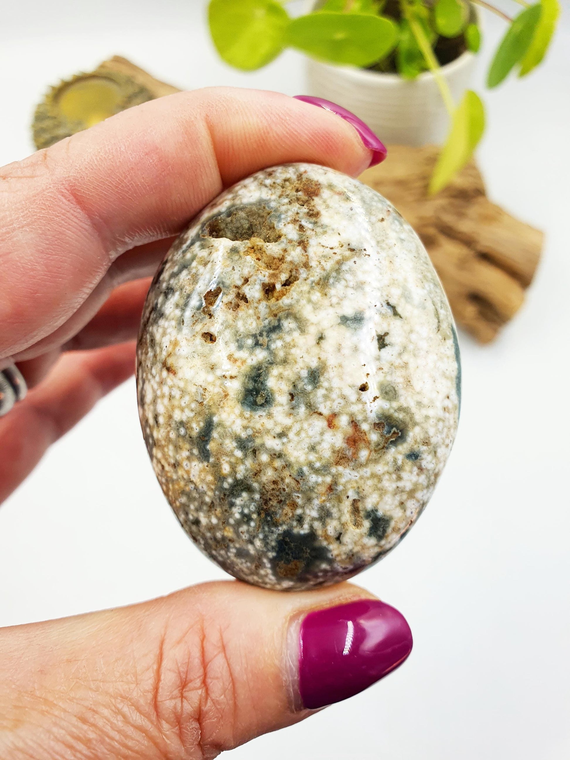 Ocean Jasper Palm with Natural Pockets - Joy & Renewal Healing Crystal - 85g