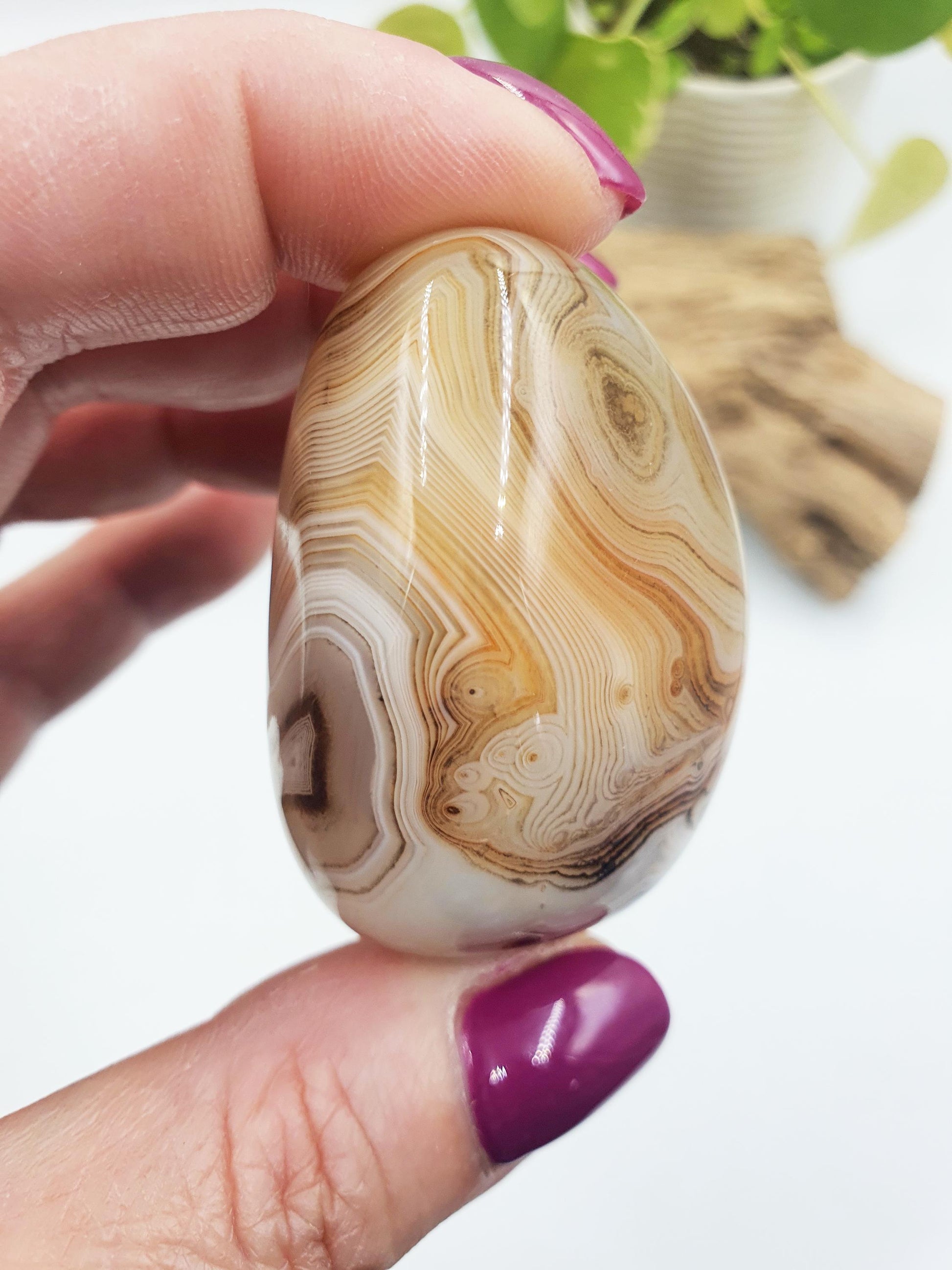 Unique Light Sardonyx Palm / Sardonyx Palm Stone / Healing Palm / Meditation Palm / Reiki Crystal Palm - 65g
