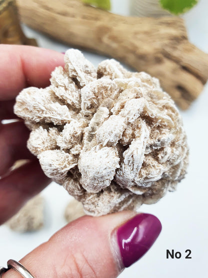 Large Desert Rose (Gypsum) Specimen - Natural Crystal for Protection & Clarity - You Choose