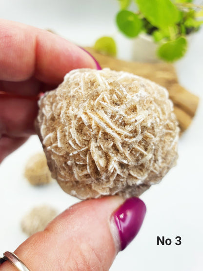 Large Desert Rose (Gypsum) Specimen - Natural Crystal for Protection & Clarity - You Choose