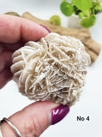 Large Desert Rose (Gypsum) Specimen - Natural Crystal for Protection & Clarity - You Choose