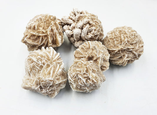 Large Desert Rose (Gypsum) Specimen - Natural Crystal for Protection & Clarity - You Choose