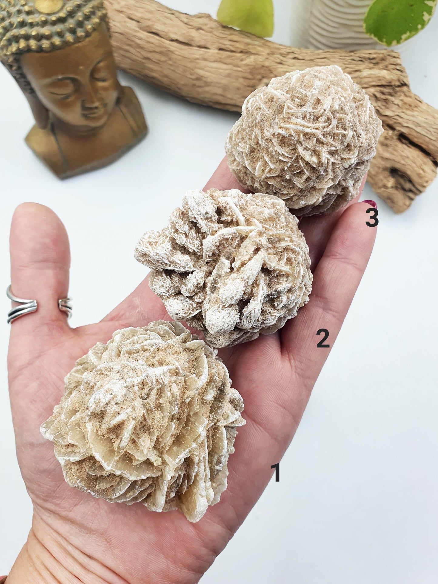 Large Desert Rose (Gypsum) Specimen - Natural Crystal for Protection & Clarity - You Choose