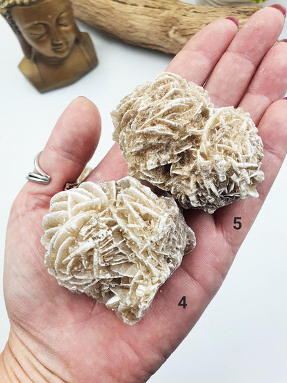 Large Desert Rose (Gypsum) Specimen - Natural Crystal for Protection & Clarity - You Choose