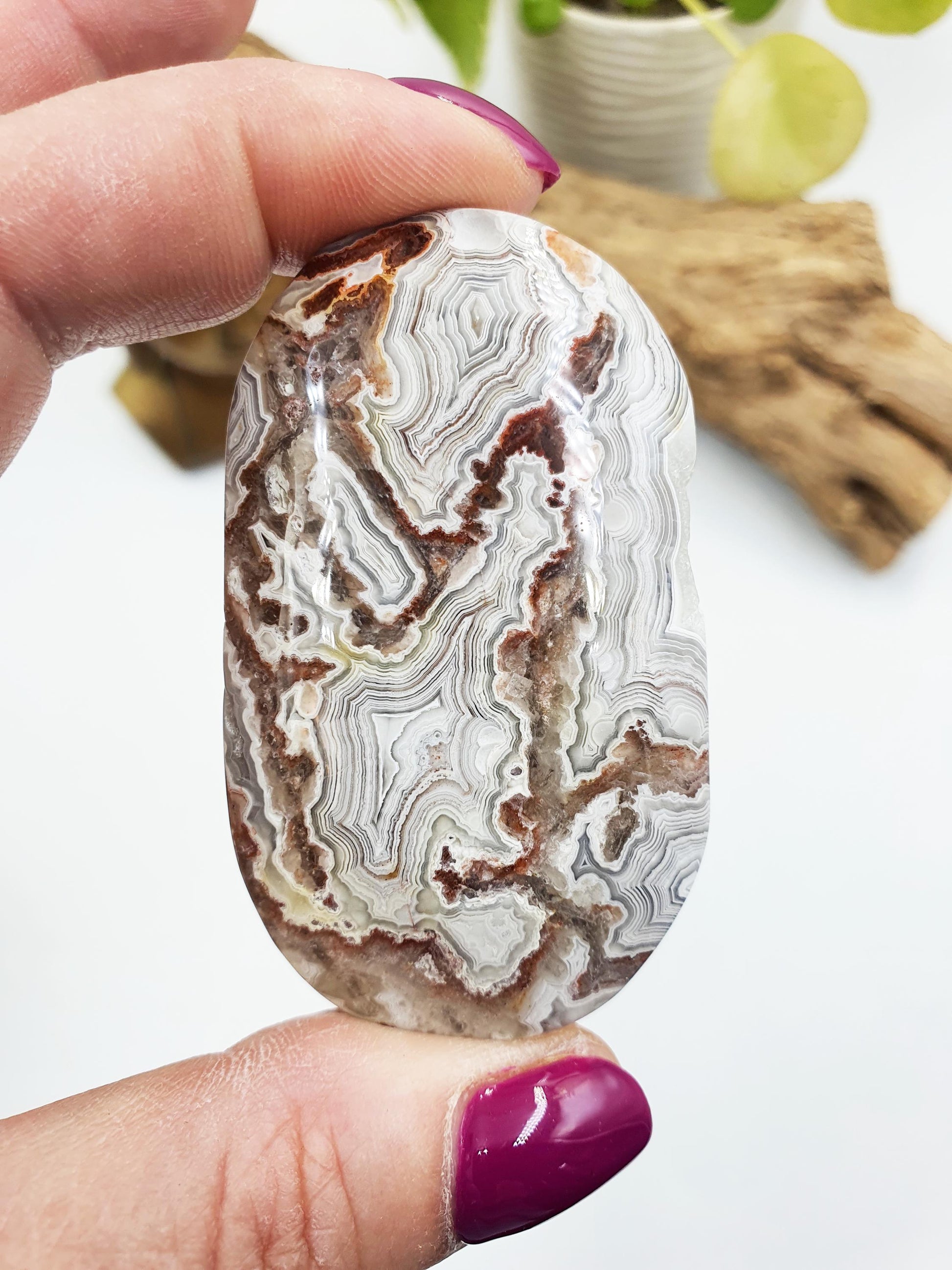 Stunning Mexican Crazy Lace Agate Palm / Crazy Lace Agate Palm Stone / Drusy Agate Palm / Meditation Palm - 65g