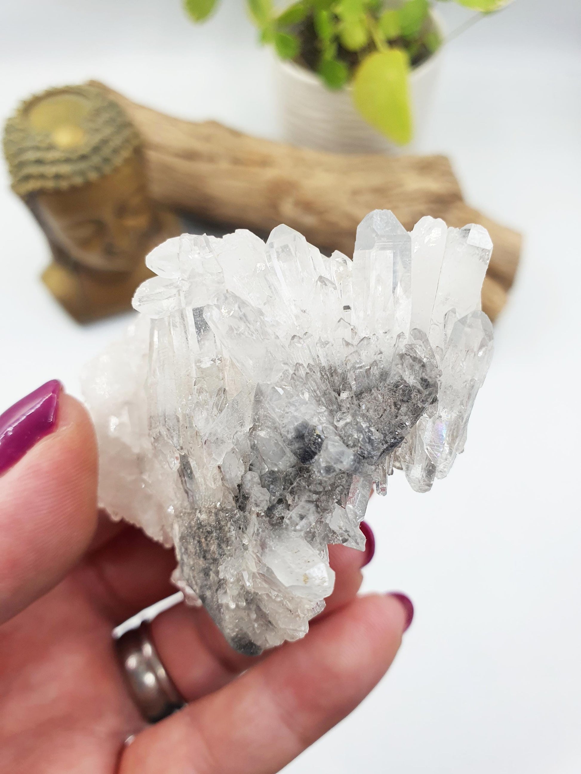 Cute Chrysanthemum Quartz Cluster / Raw Quartz Cluster / Mini Quartz Cluster - 88g