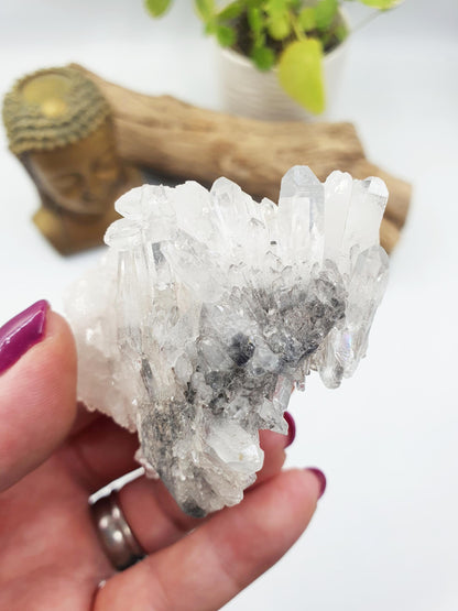 Cute Chrysanthemum Quartz Cluster / Raw Quartz Cluster / Mini Quartz Cluster - 88g