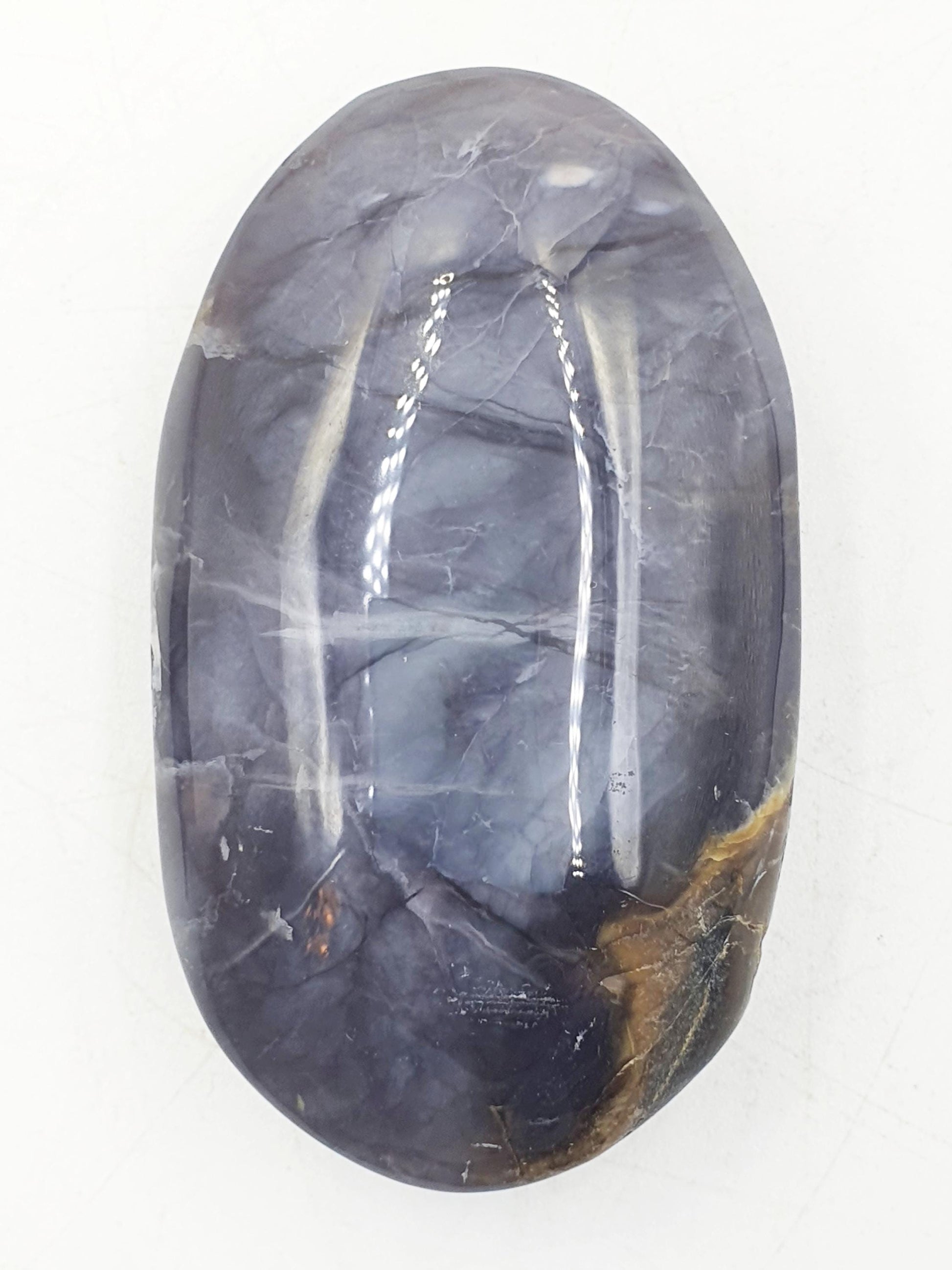 Petrified Wood Palm Stone - Grounding & Ancestral Wisdom Crystal - 70g