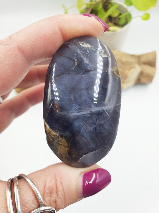 Petrified Wood Palm Stone - Grounding & Ancestral Wisdom Crystal - 70g