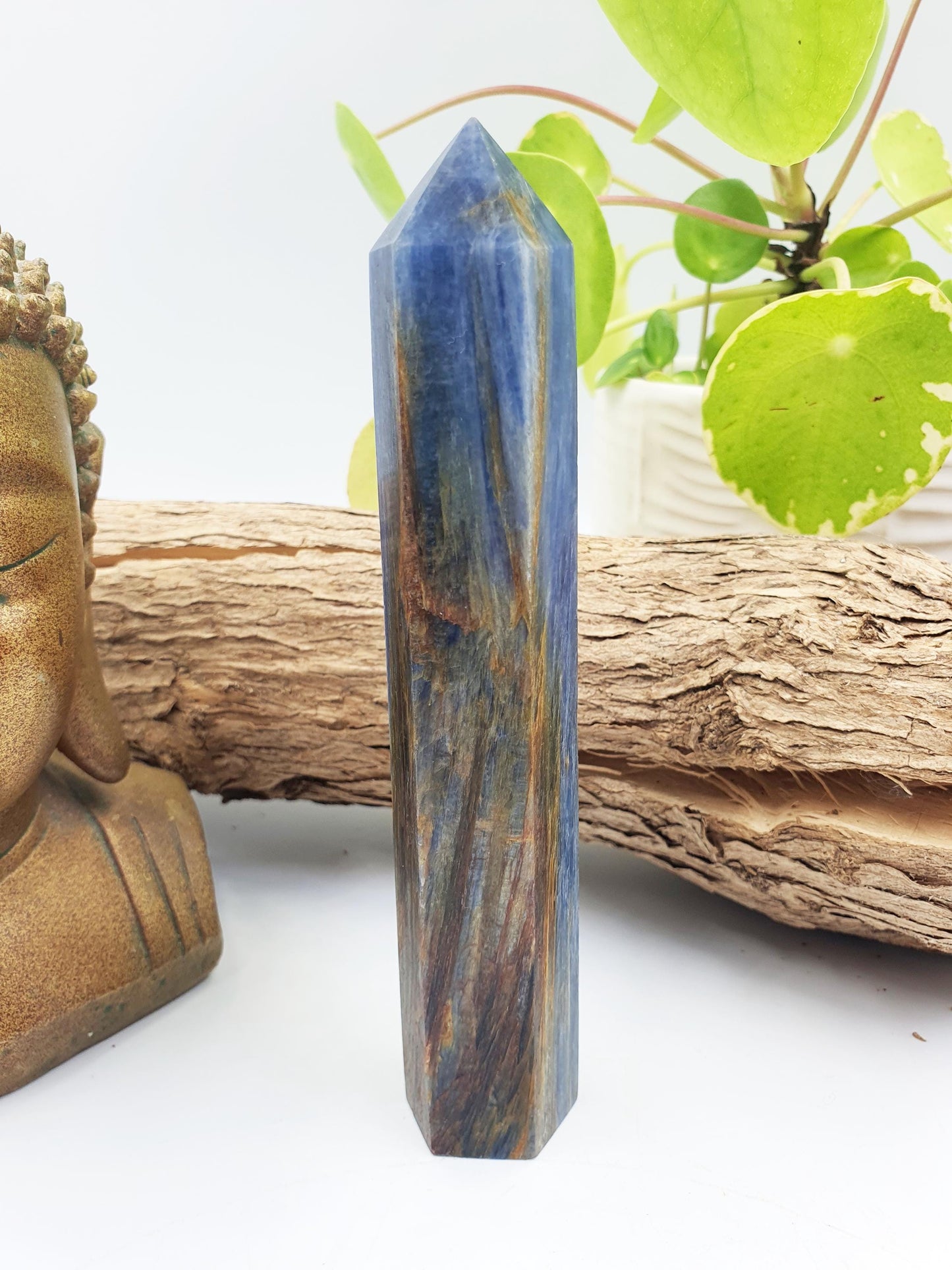 High Grade Kyanite Tower - Alignment & Communication Crystal Point - 14cm