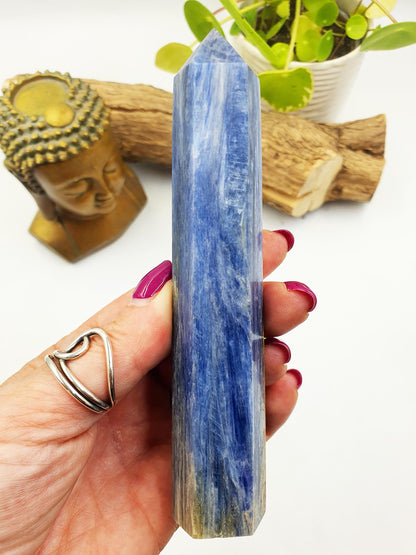 High Grade Kyanite Tower - Alignment & Communication Crystal Point - 14cm