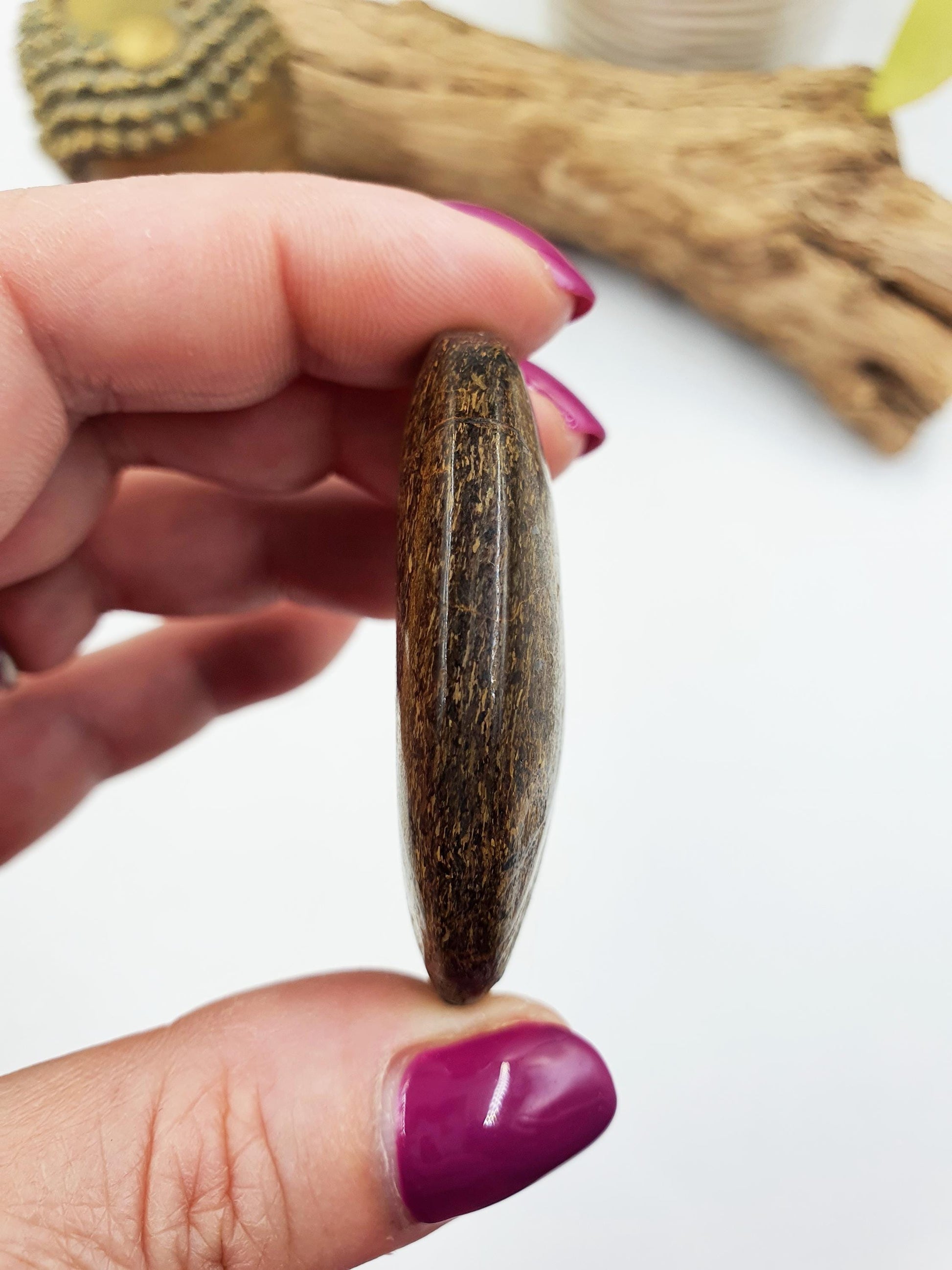 Beautiful Bronzite Palm / Bronzite Palm Stone / Flat Palm Stone / Pocket Crystal / Meditation Palm / Reiki Crystal Palm - 50g