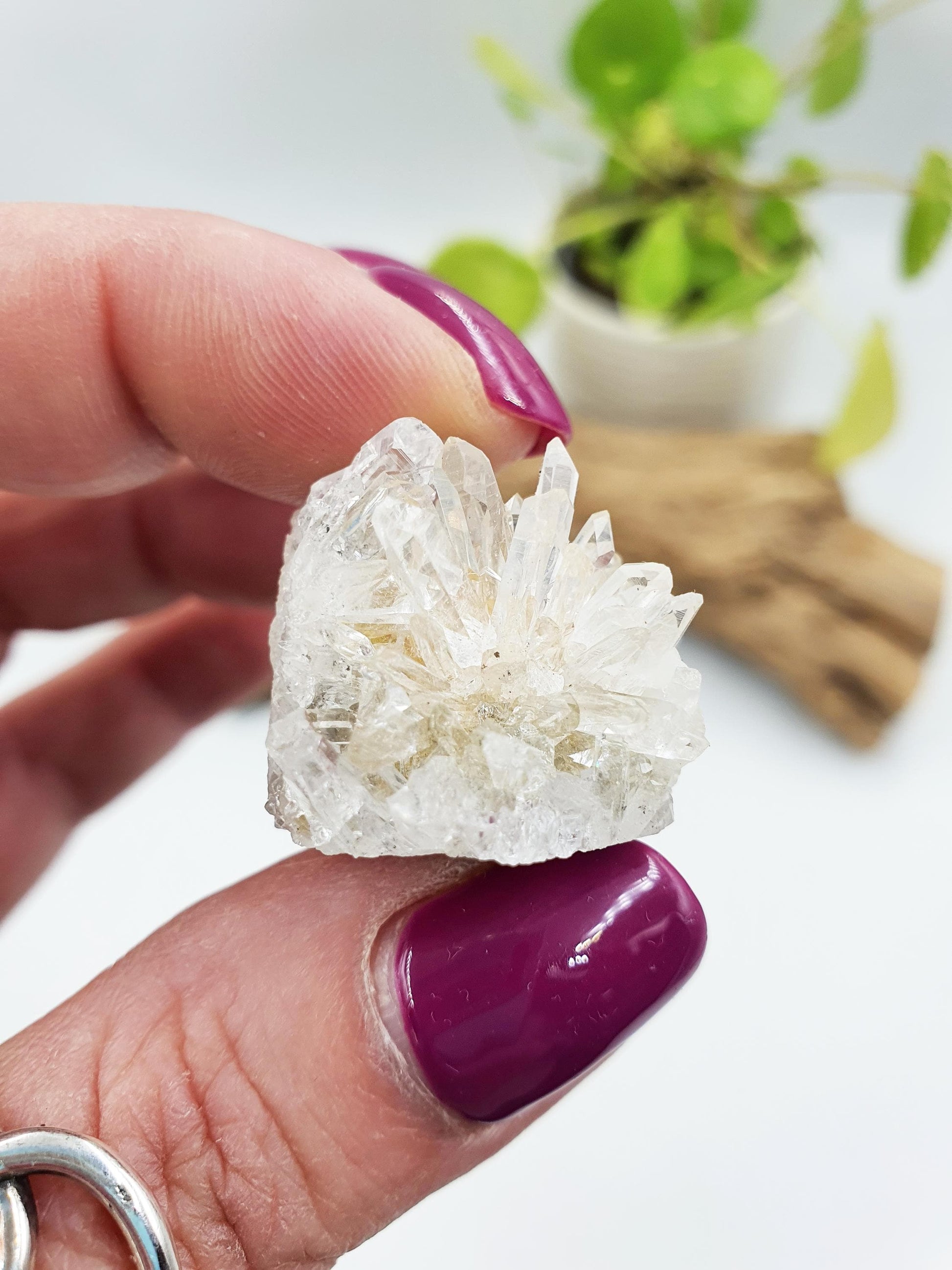 Cute Tiny Chrysanthemum Quartz Cluster / Raw Quartz Cluster / Mini Quartz Cluster - 17g