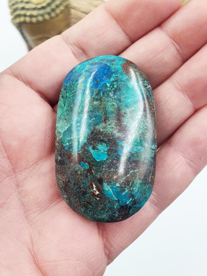 Phoenix Turquoise Palm Stone - Transformation & Protection Crystal - 40g