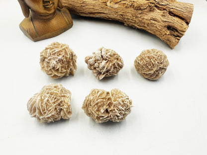 Large Desert Rose (Gypsum) Specimen - Natural Crystal for Protection & Clarity - You Choose