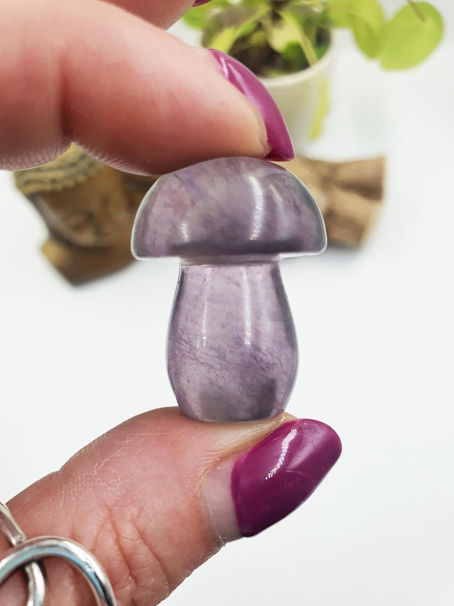 Fluorite Crystal Mushroom - Focus and Clarity Healing Crystal - 20g