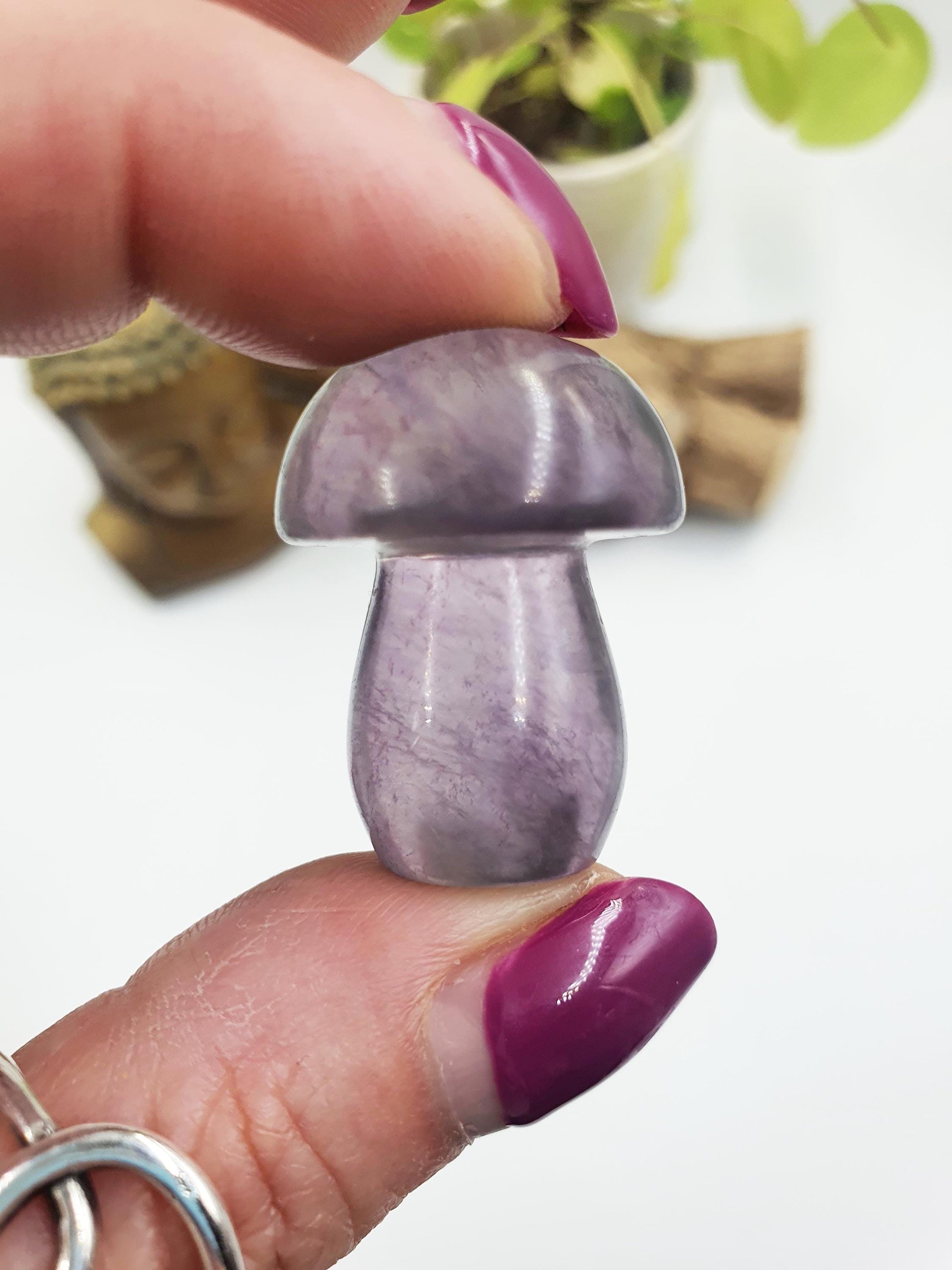 Fluorite Crystal Mushroom - Focus and Clarity Healing Crystal - 20g