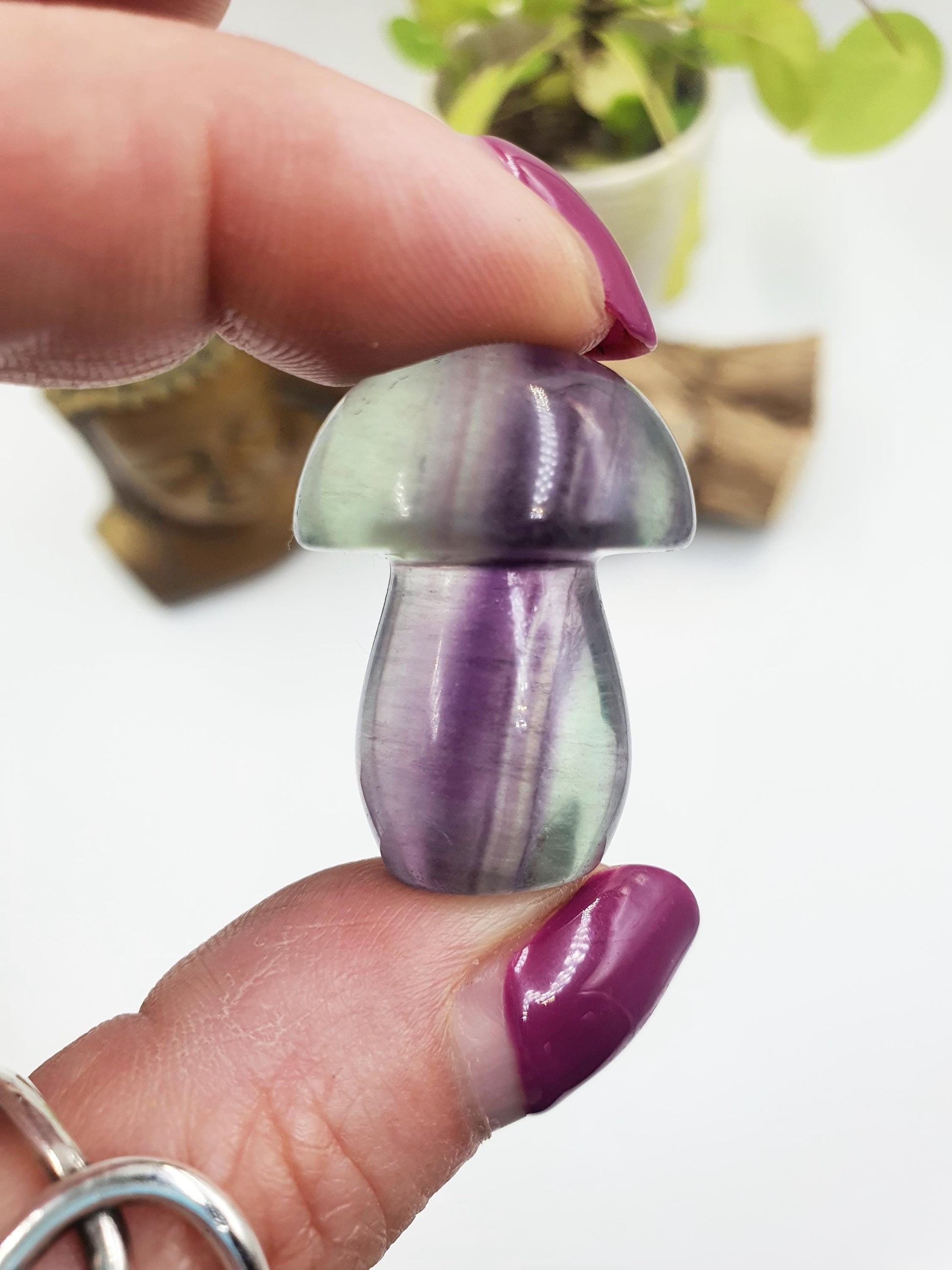 Fluorite Crystal Mushroom - Focus and Clarity Healing Crystal - 20g