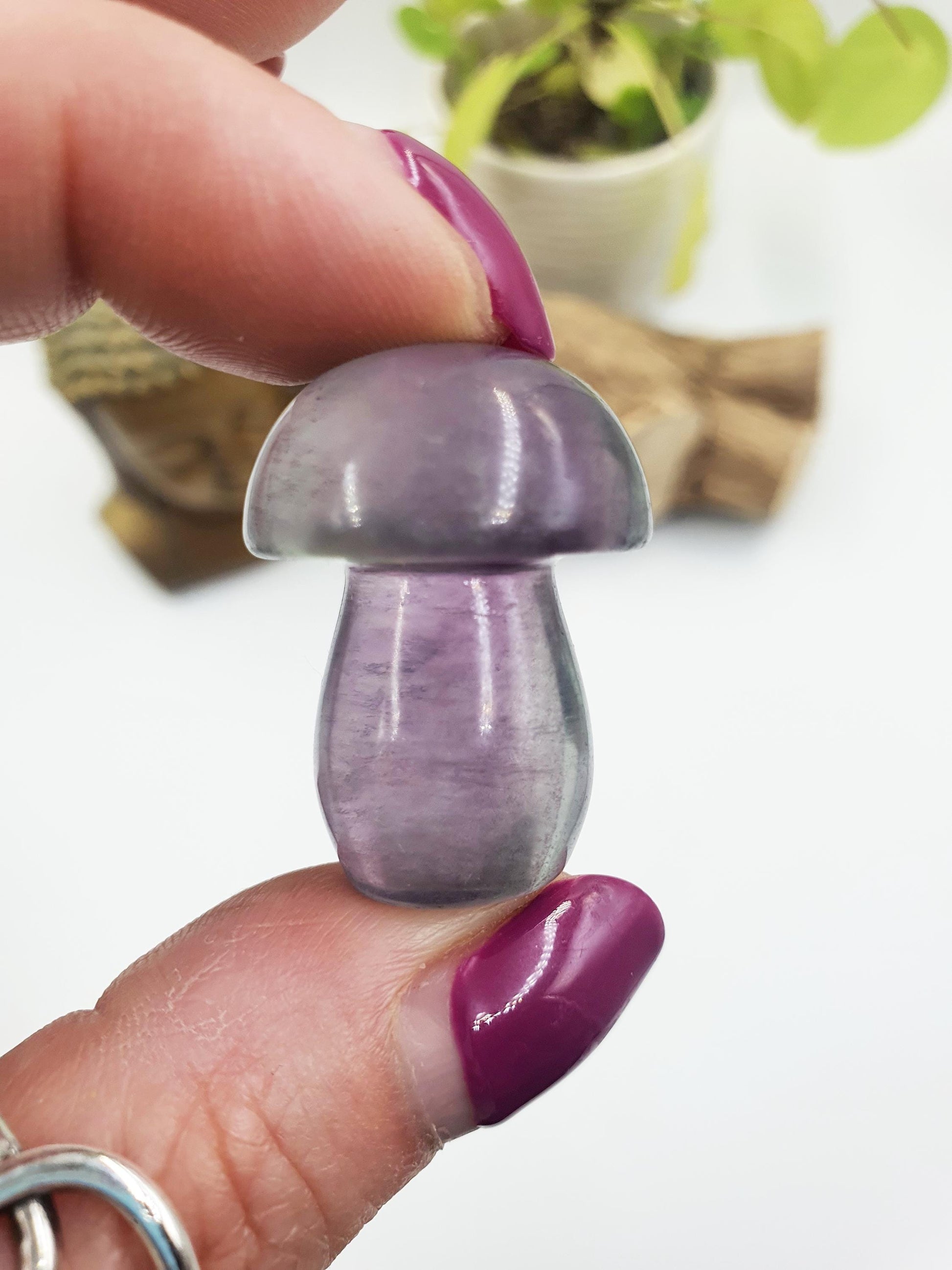 Fluorite Crystal Mushroom - Focus and Clarity Healing Crystal - 20g