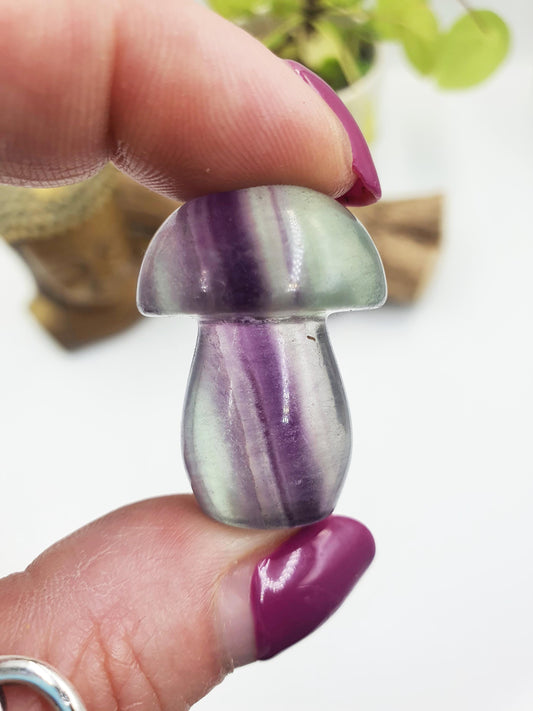 Fluorite Crystal Mushroom - Focus and Clarity Healing Crystal - 20g