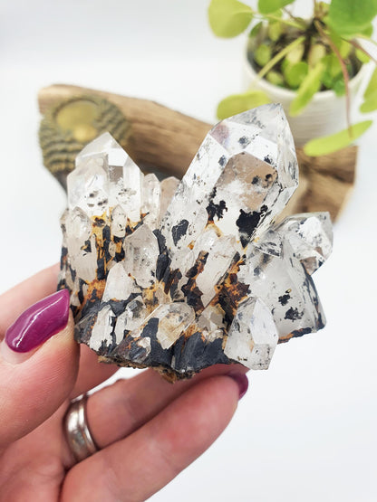 Clear Quartz and Hematite Cluster Specimen - Grounding & Amplifying Healing Raw Crystal, 155g