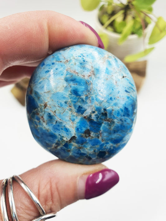 Blue Apatite Palm Stone - Motivation & Focus Healing Crystal - 100g