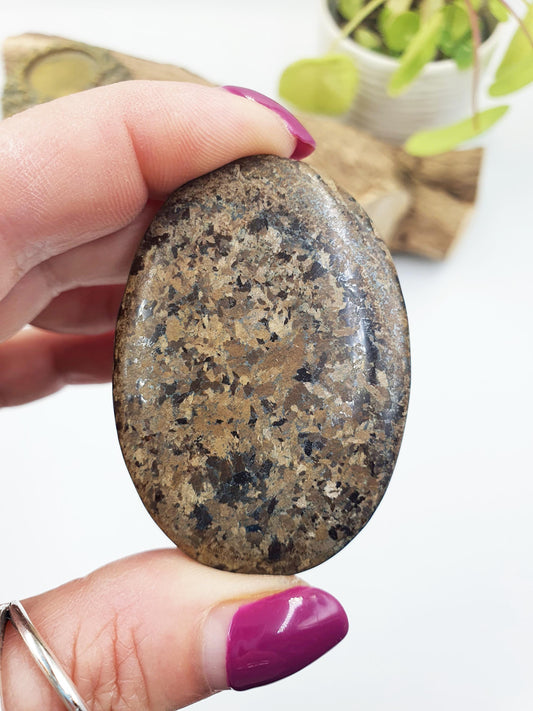 Bronzite Palm Stone - Protection & Grounding Crystal, 50g