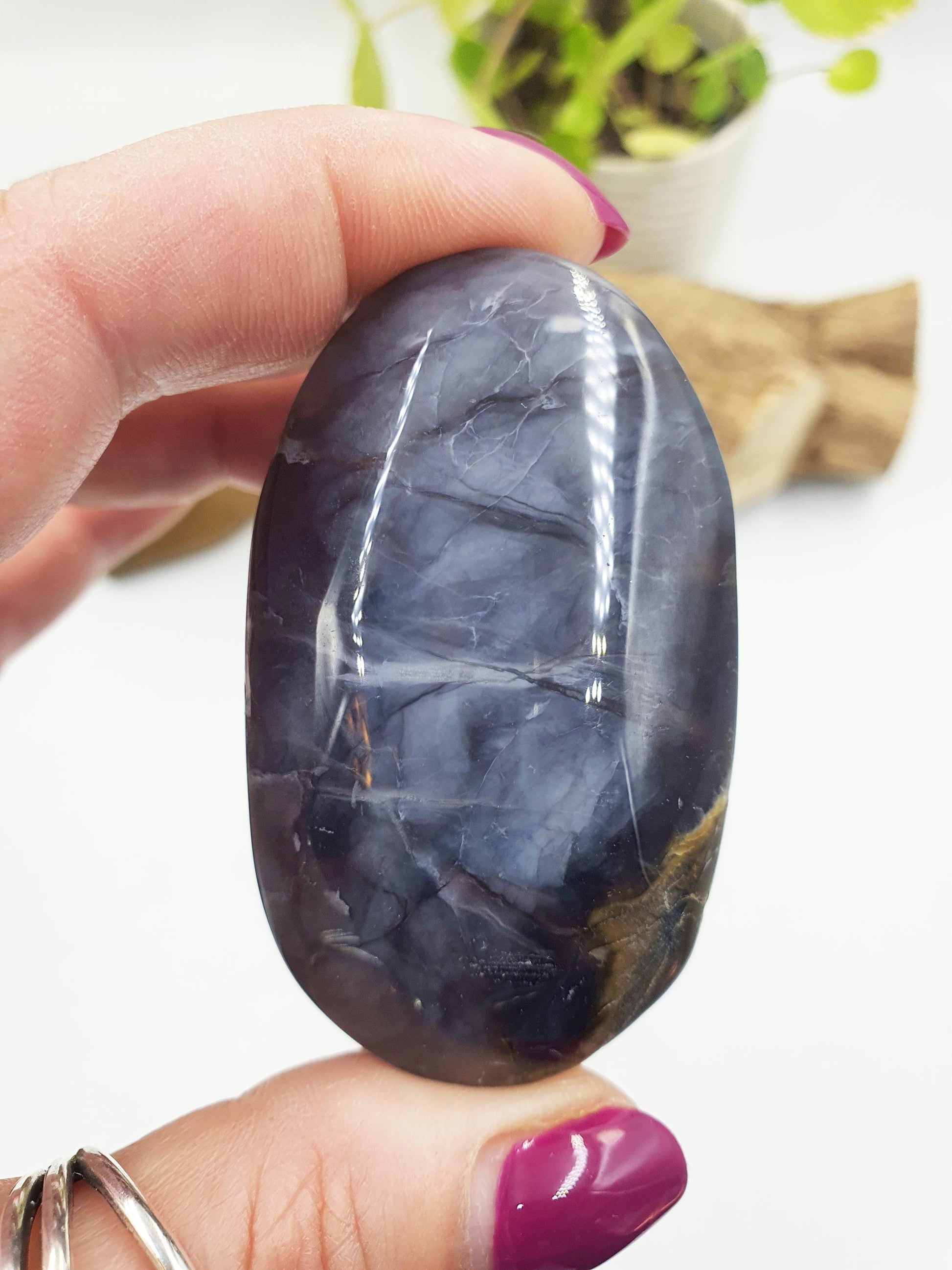 Petrified Wood Palm Stone - Grounding & Ancestral Wisdom Crystal - 70g