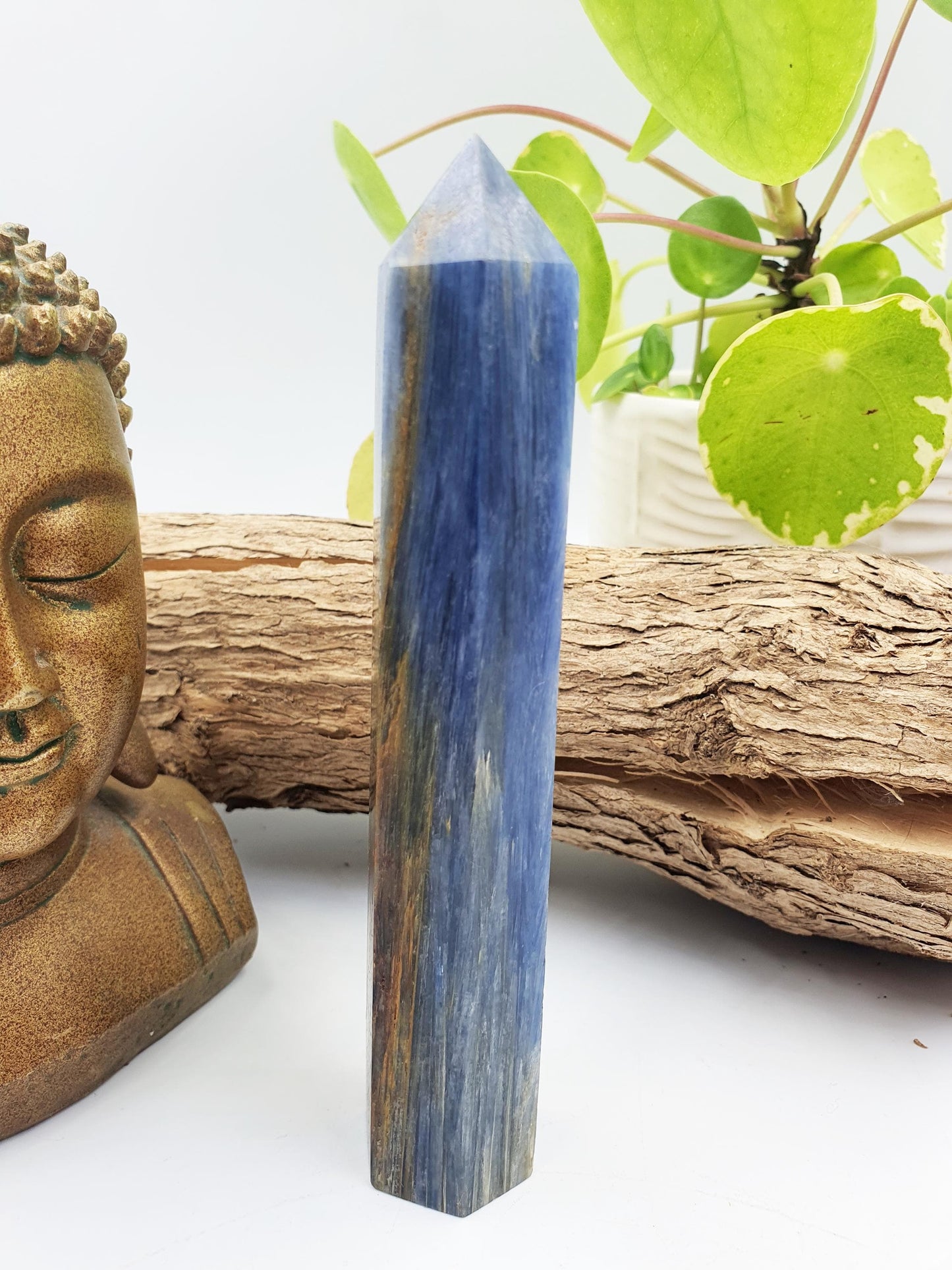 High Grade Kyanite Tower - Alignment & Communication Crystal Point - 14cm