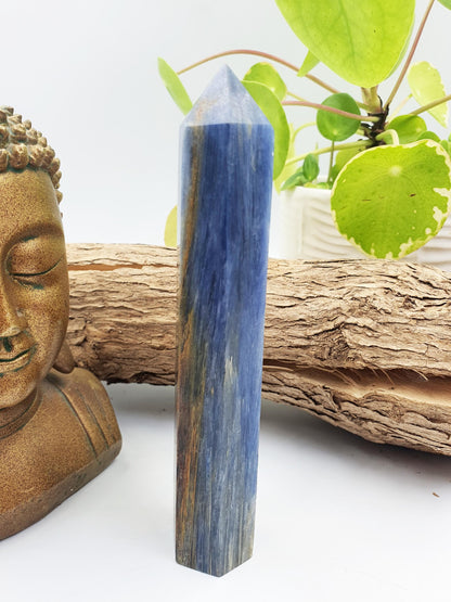 High Grade Kyanite Tower - Alignment & Communication Crystal Point - 14cm