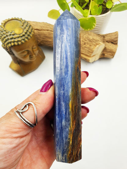 High Grade Kyanite Tower - Alignment & Communication Crystal Point - 14cm