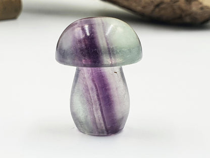 Fluorite Crystal Mushroom - Focus and Clarity Healing Crystal - 20g