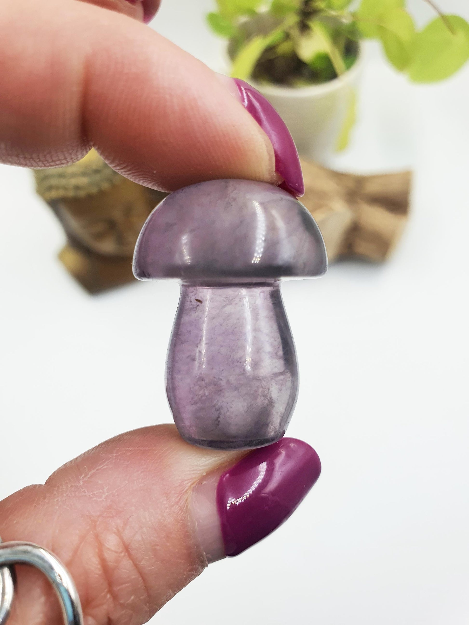 Fluorite Crystal Mushroom - Focus and Clarity Healing Crystal - 20g