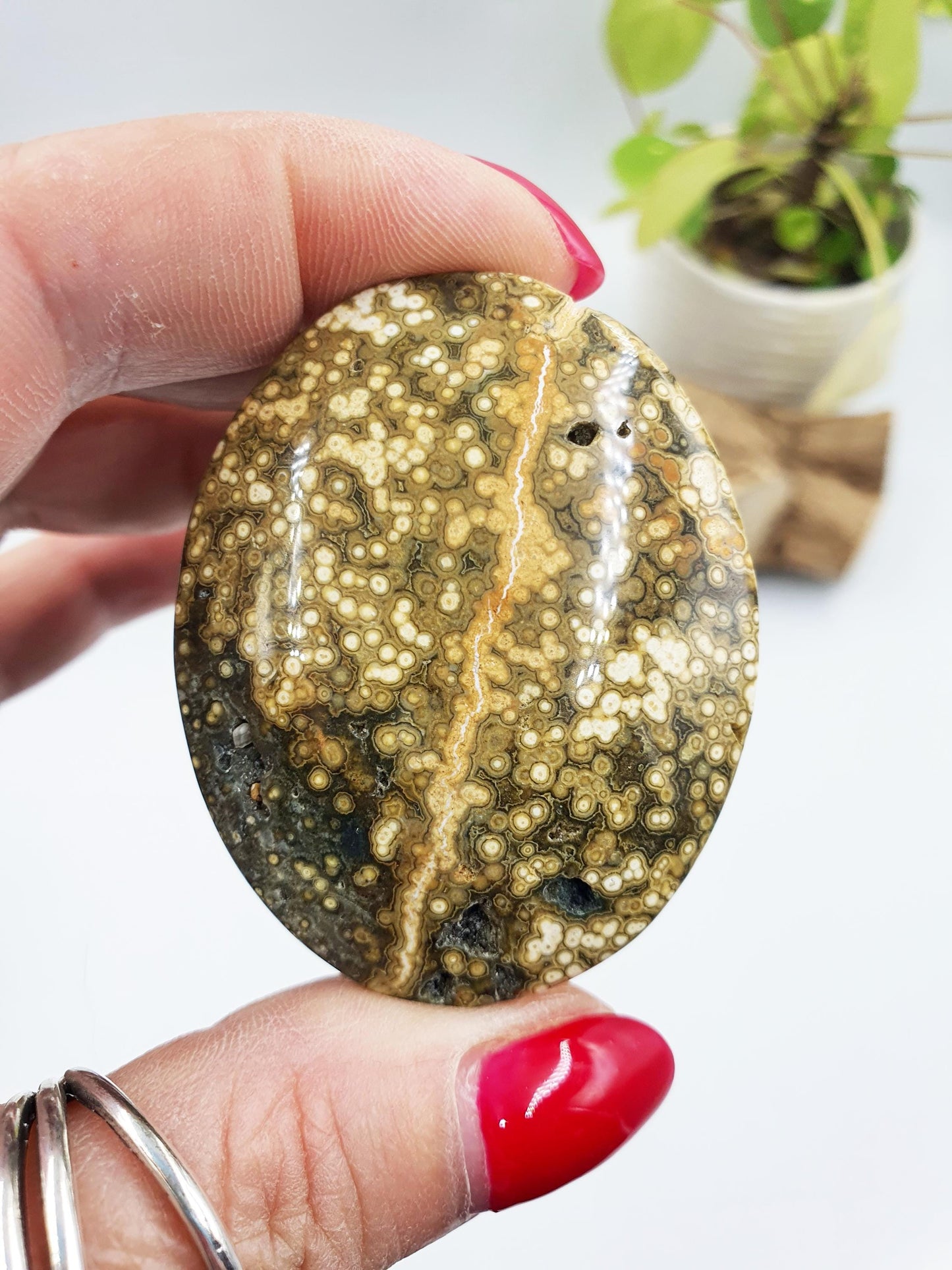 Orbicular Ocean Jasper Palm - Joy & Renewal Healing Crystal - 65g